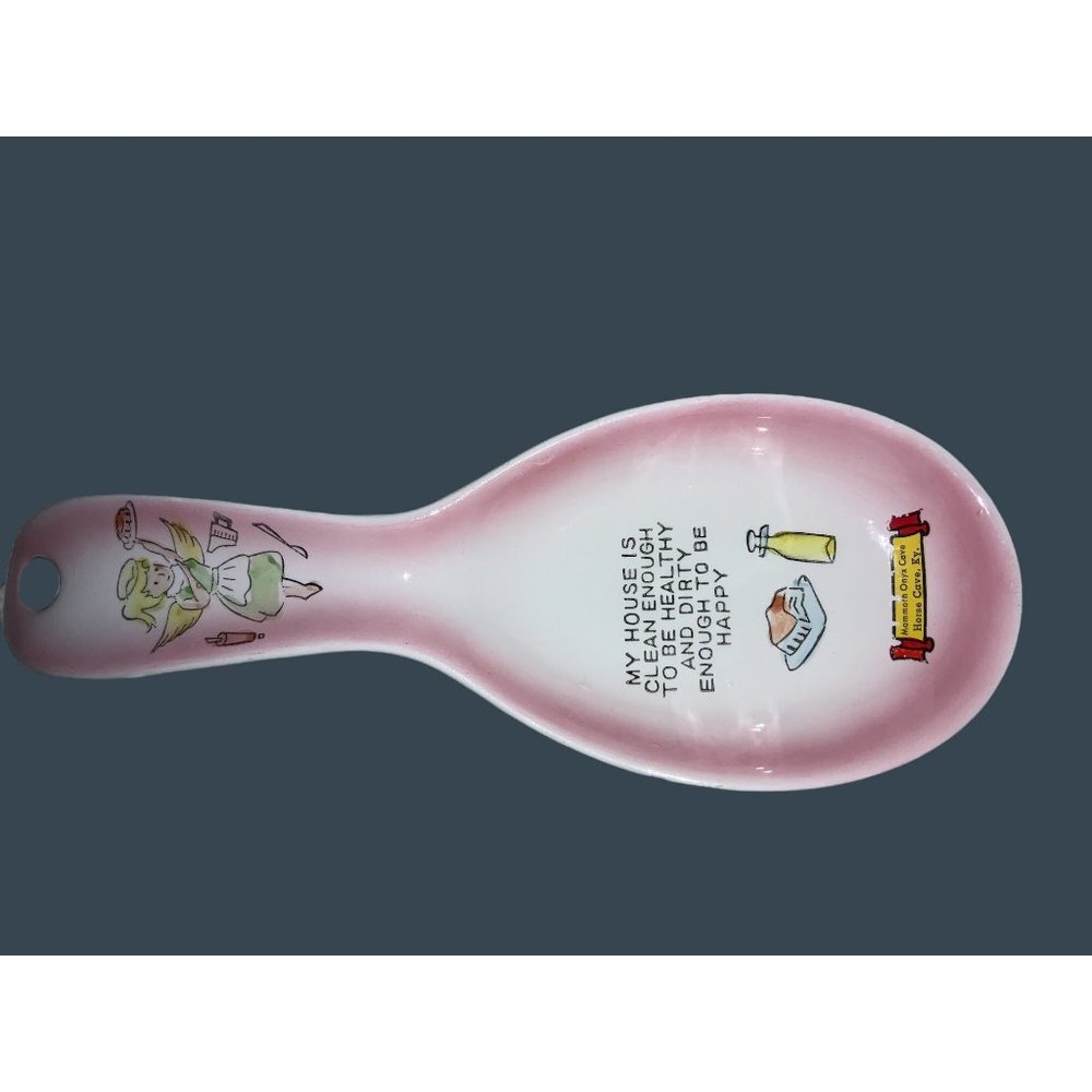 Spoon Rest Wall Hanging souvenir   My House is Clean Enough.....